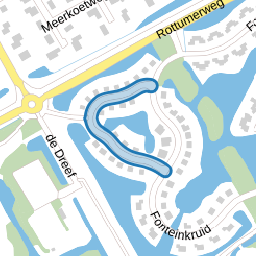 Waterranonkel