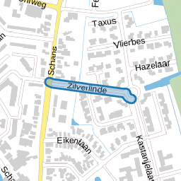 Zilverlinde