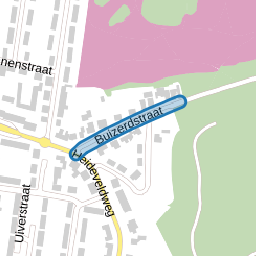 Buizerdstraat