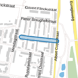 Ferdinand Bolstraat