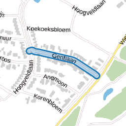 Gentiaan