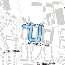 Insula