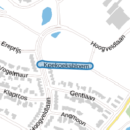 Koekoeksbloem
