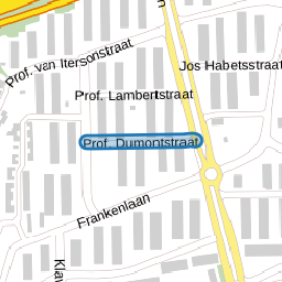 Prof. Dumontstraat