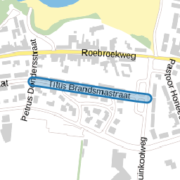 Titus Brandsmastraat