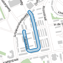 Tulpstraat