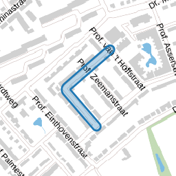 Prof. Lorentzstraat