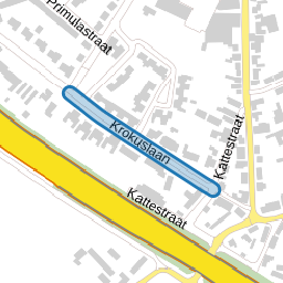 Krokuslaan