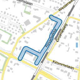 Ringelwikke