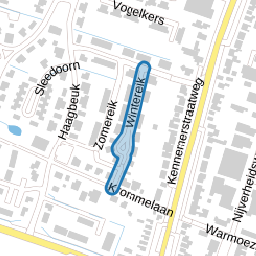 Wintereik