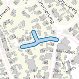 Dokter ter Borgstraat