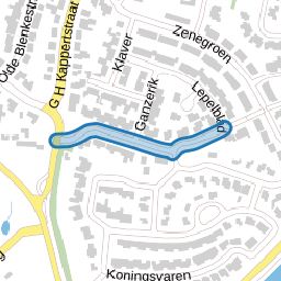 Engelwortel