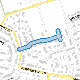 Kamperfoelie