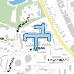 Straussstraat