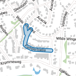 Kamperfoelie