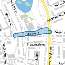 Leliestraat