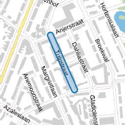 Tulpstraat