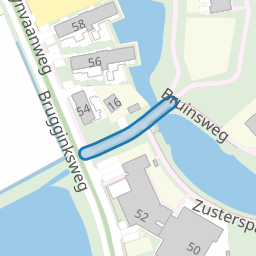 Bruinsweg