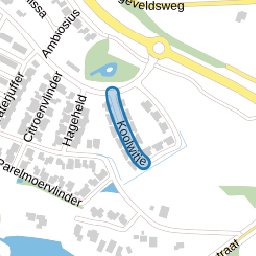 Dagpauwoog