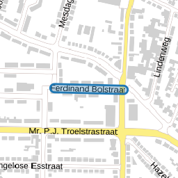 Ferdinand Bolstraat