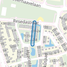 Goudsbloempad