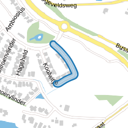 Koolwitje