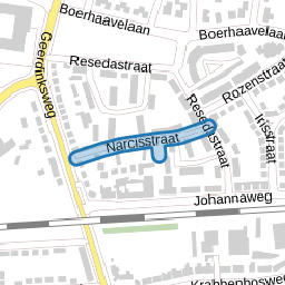Narcisstraat