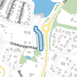 Zilverkarperstraat
