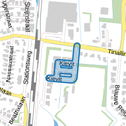 Kievit