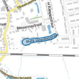 Burg Geerlingstraat