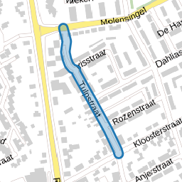 Tulpstraat
