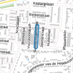 Goudenregenstraat