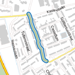 Everardus van Gochstraat