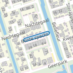 Bonte specht