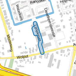 Loopkever