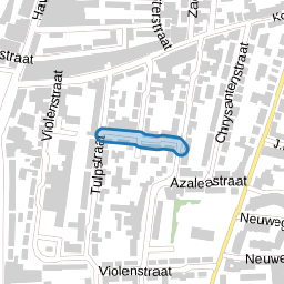 Anjelierstraat