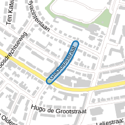 Gladiolusstraat