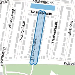 Lijsterbeslaan