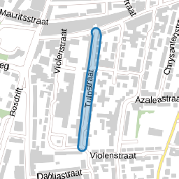 Tulpstraat