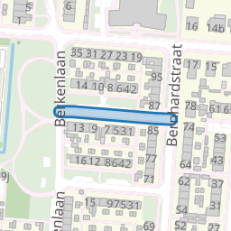Goudenregenstraat