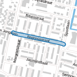 Begoniastraat