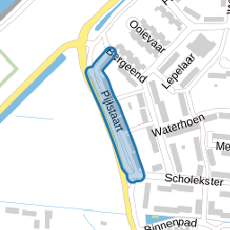 Pijlstaart