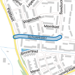 Scholekster