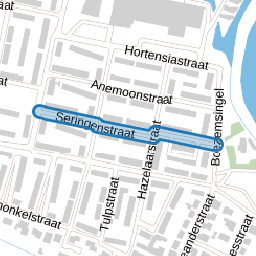 Seringenstraat