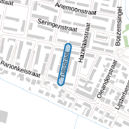 Tulpstraat