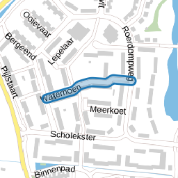 Waterhoen
