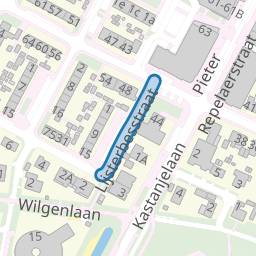 Lijsterbesstraat