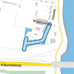 Waterlelie