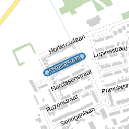Jasmijnstraat