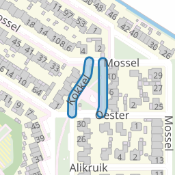 Kokkel